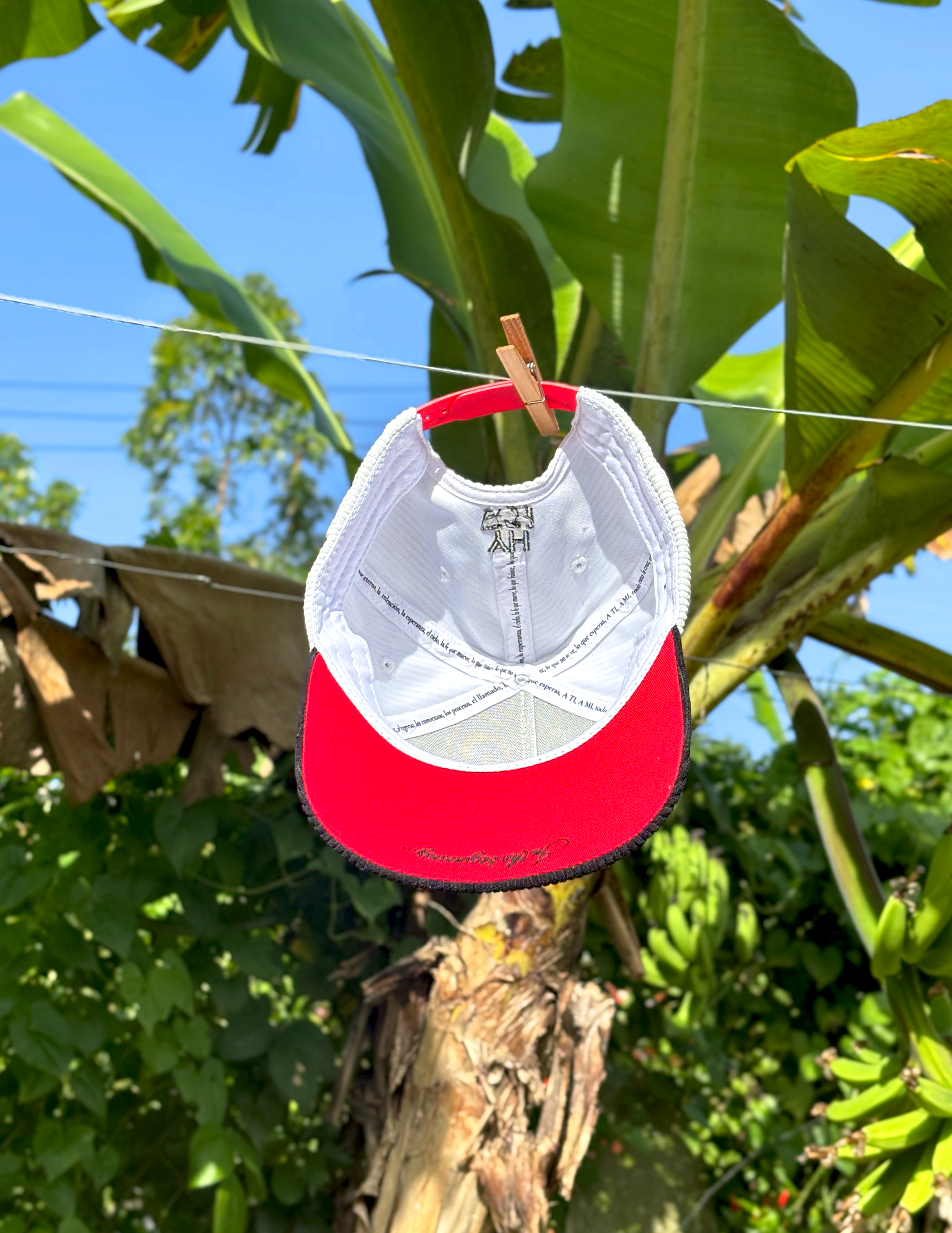 GENESIS 1:1 HAT