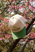 COORDENADAS SB BEIGE